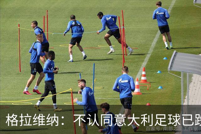 格拉维纳：不认同意大利足球已跌至最低点 对未晋级世界杯失望